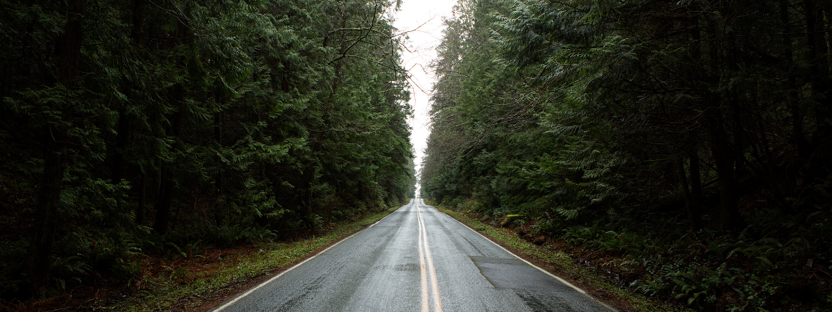 road to recovery road to recovery