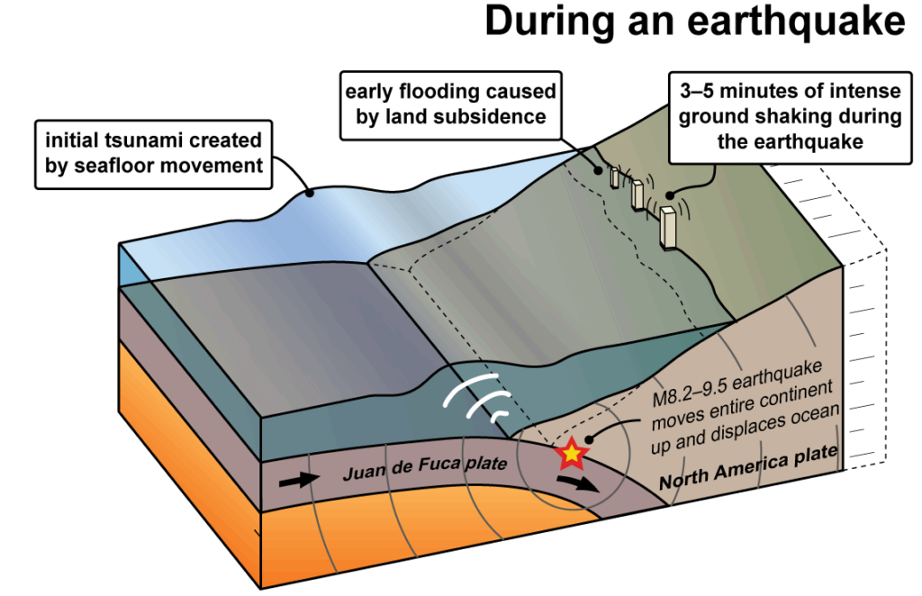 Tsunami Creation on Subduction Zone