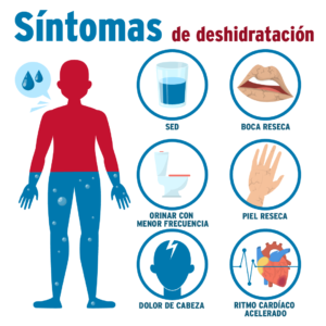 Dehydration Spanish