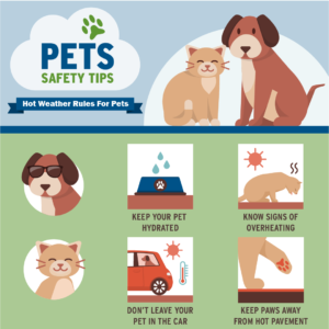 Pet Safety