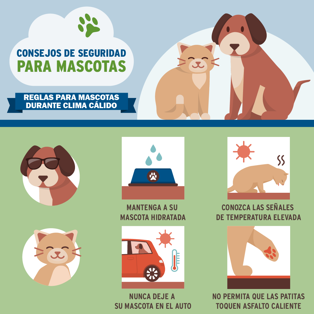 Pet Safety Spanish