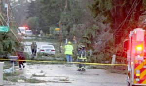 fallen trees and response crew at 2018 South Kitsap tornado