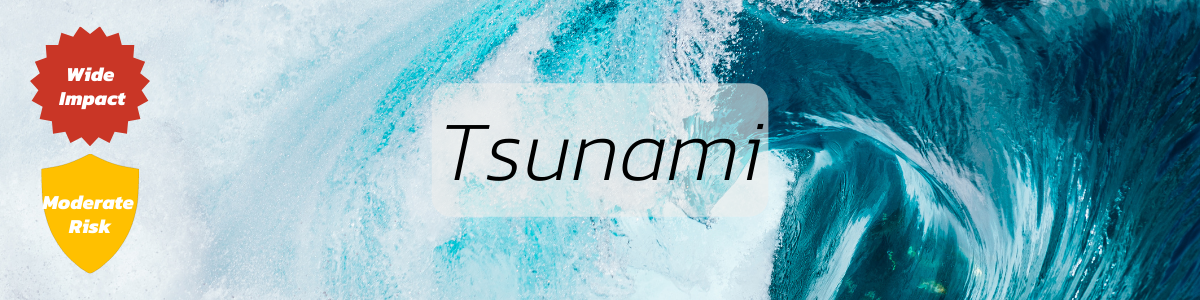 Tsunami